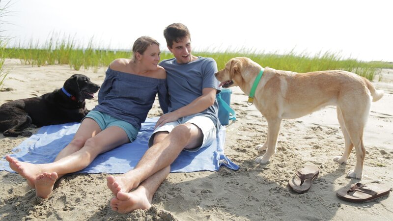 Hauskäufer. – Bild: Warner Bros. Discovery