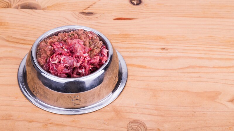 Fresh nutritious and delicious minced raw meat and bone dog food in bowl – Bild: THAM KEE CHUAN/​ThamKC