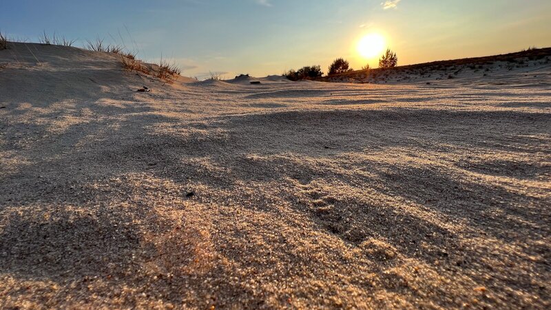 Brandenburgs größte Binnendüne erinnert an Ostseestrände. Tatsächlich handelt es sich um einen ehemaligen Truppenübungsplatz, der nun ein Rückzugsgebiet für die Natur ist. – Bild: ZDF und rbb/​Wolfgang Albus