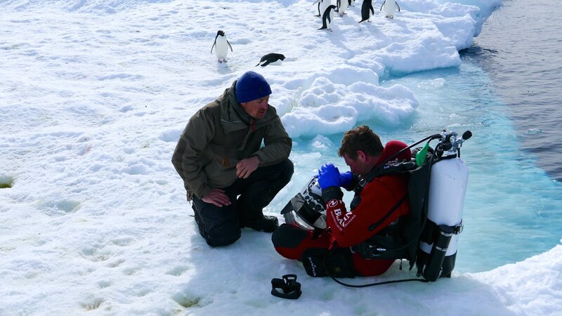 Antarktis – Bild: Luc Jacquet /​ Expedition Wild-Touch Antarctica