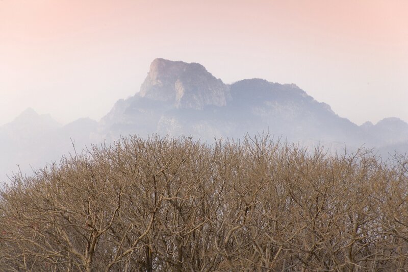 Bild: Turismo de Tenerife