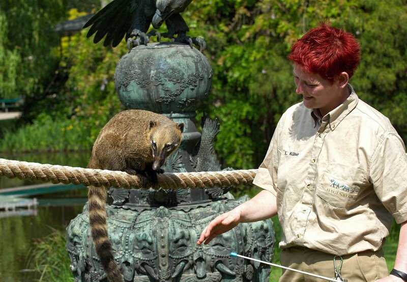 10 Uhr vom NDR im Ersten. Liane Klüber trainiert mit einem Näsenbär. – Bild: NDR/​Sandra Hoever