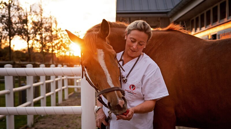 Bild: NDR/​Doclights GmbH/​Sonja Rommerskirch Photographie