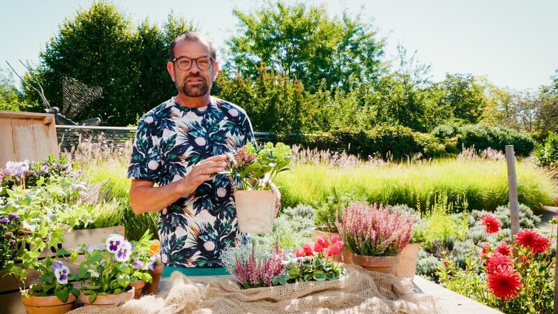 Karl Ploberger stellt seine ganz persönliche Hitparade der schönsten Herbstpflanzen vor. – Bild: ORF/​Talk TV