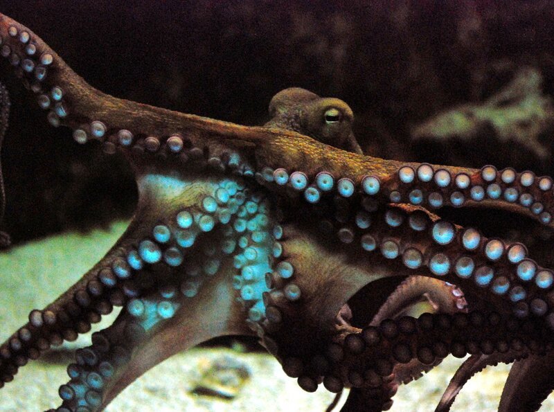 Bild: BR/​SWR/​Frieder Bundt