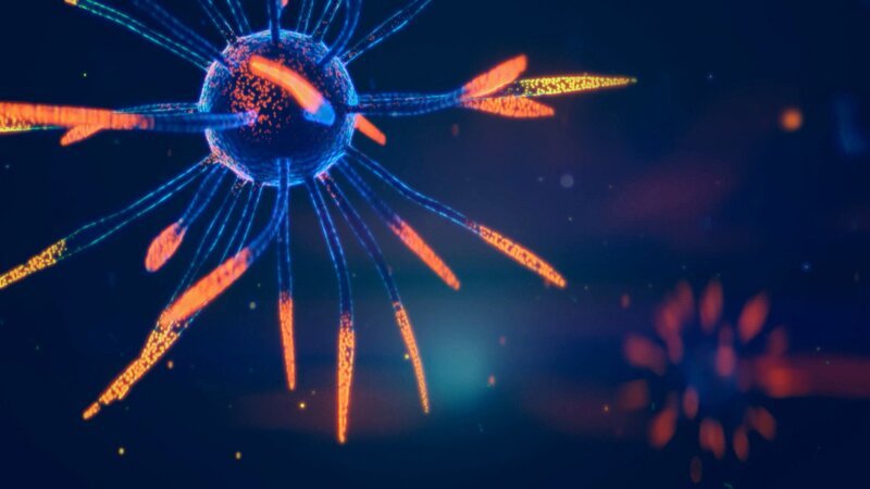 Viren mit glänzenden, biolumineszenten Stacheln. Es handelt sich nicht um einen bestimmten Virus, aber er könnte Infektionen durch Grippe, Herpes oder Coronavirus verursachen. – Bild: THE HISTORY CHANNEL /​ A+E Networks