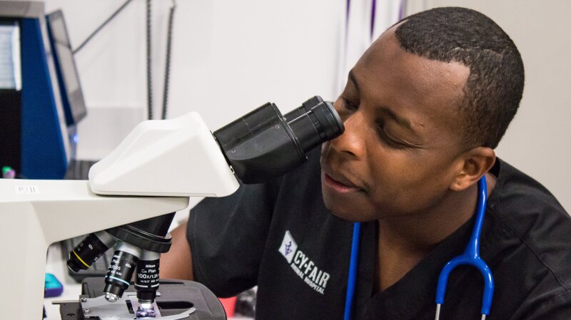 Dr. Blue looks in a microscope. – Bild: Discovery Communications