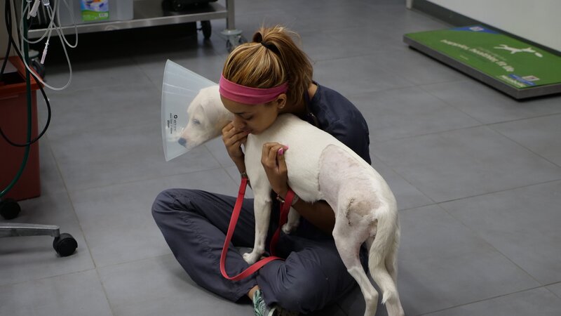 Bild: Animal Planet /​ Photobank /​ Discovery Communications, LLC