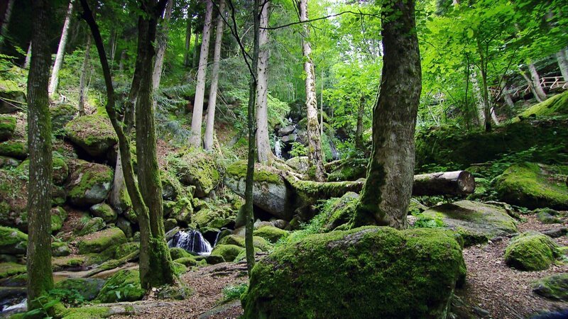 Bild: ORF/ORF-NÖ Bild: ORF/ORF-NÖ