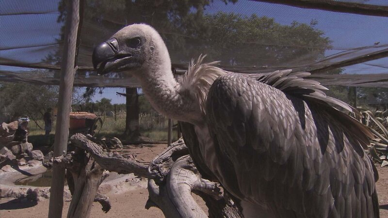 . – Bild: ANIXE HD