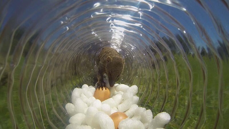 . – Bild: ANIXE HD