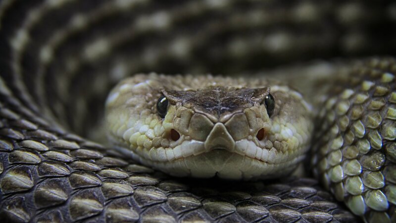 Bild: Tais Policanti /​ Getty Images /​ Moment RF