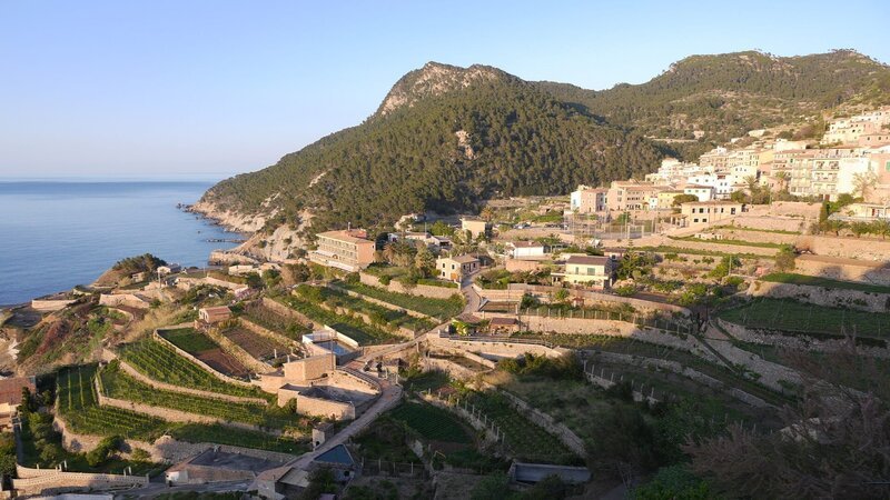 Terrassen im Trockenbau machten Landbau auf Mallorca erst möglich. Terrassenweinbau in Banyalbufar. – Bild: xplore