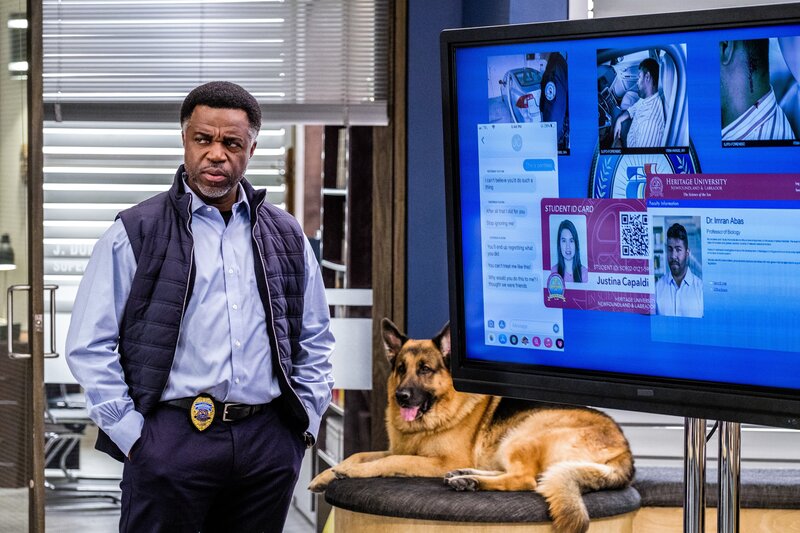 Bild: Derm Carberry /​ Shaftesbury