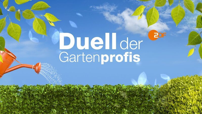 Bild: ZDF und Pfeffer Motion Design