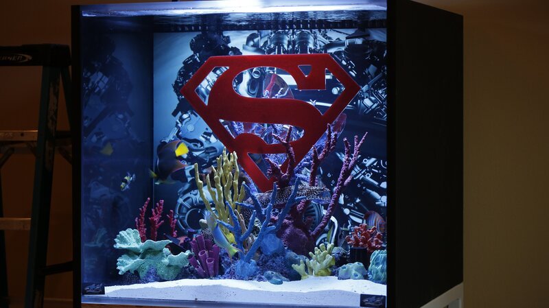 Bild: Cy Cyr /​ Animal Planet /​ Discovery Communications, Inc.