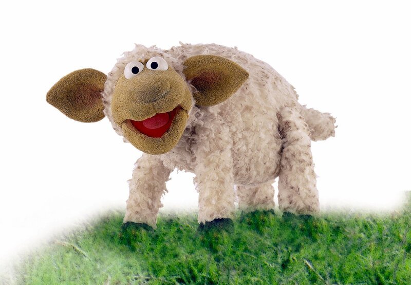 SCHAF – Wolle – Bild: KiKA