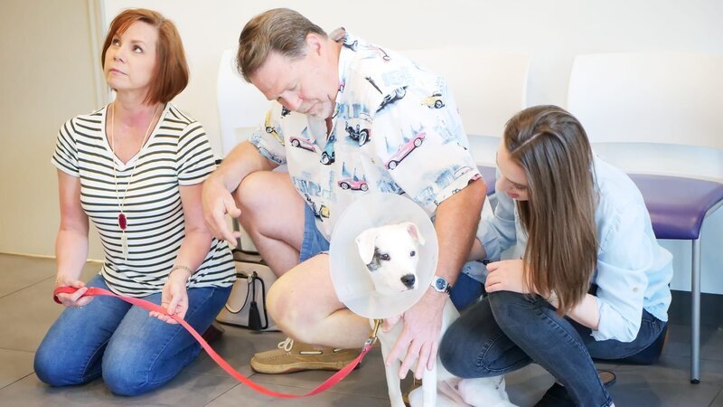 . – Bild: Warner Bros. Discovery