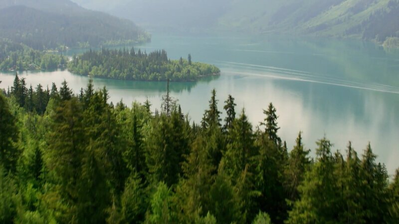 Blick über den Wald – Bild: CuriosityStream-Inc Blick über den Wald – Bild: CuriosityStream-Inc