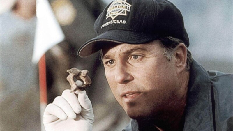 Gil (William Petersen) untersucht den in der Wüste gefundenen Knochen: er stammt einwandfrei von einem Menschen. – Bild: MG RTL D /​ CBS