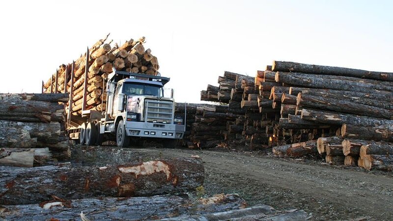 Bild: Discovery Communications /​ 011