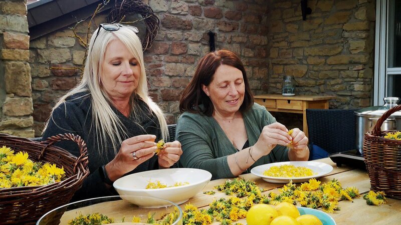 Zu Tisch Saarland – Deutschland Madeleine Braun und Tanja Schmitt verarbeiten frische Löwenzahnblüten. – Bild: SRF/​Berlin Producers Media/​Friederike Schlumbom