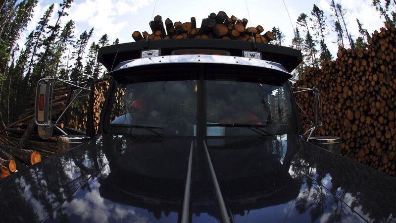 American Loggers – Bild: Animal Planet