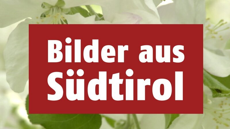 Bild: ZDF und ORF