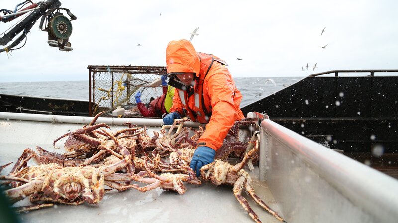 Seabrooke. – Bild: Discovery Communications