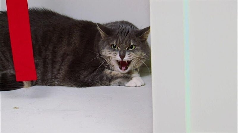 . – Bild: Warner Bros. Discovery