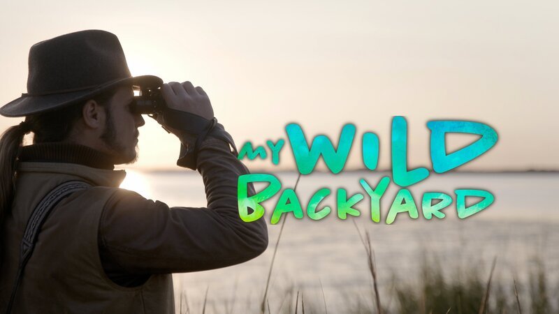 Bild: Curiosity Stream