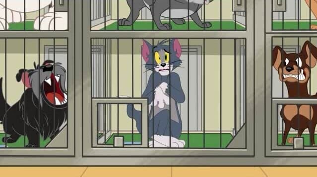 Courtesy of Warner Brothers – Bild: Warner Brothers