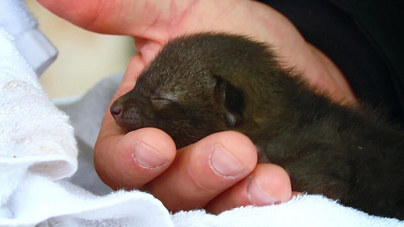 . – Bild: Warner Bros. Discovery