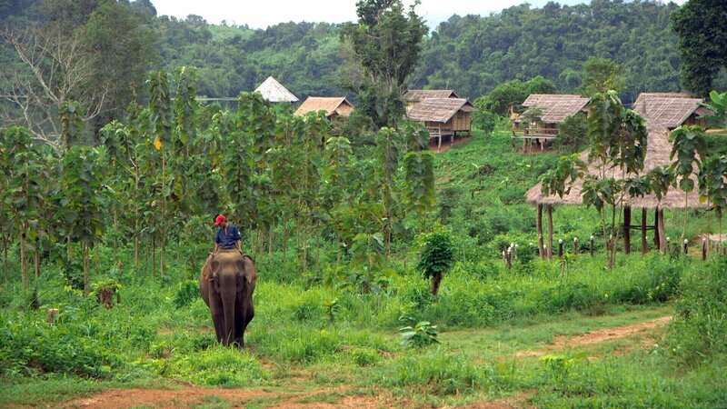 Bild: ORF/​Ampersand