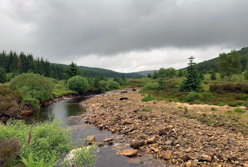 Fluss im Kielder Forest in Northumberland, England  +++ – Bild: RTL/​ © ITN