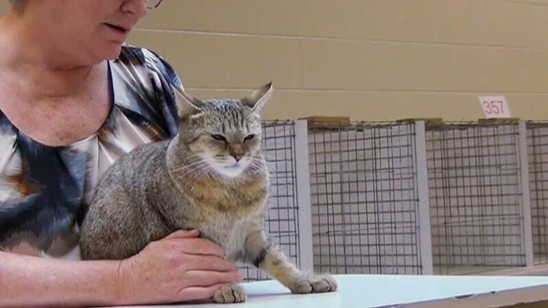 . – Bild: Warner Bros. Discovery