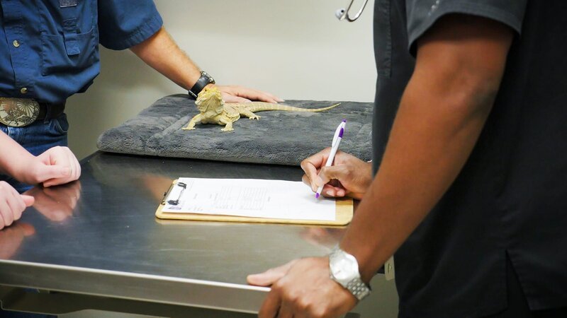 . – Bild: Warner Bros. Discovery