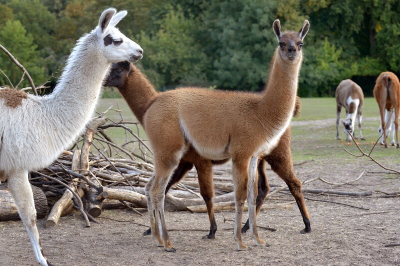 Bild: rbb/​Thomas Ernst