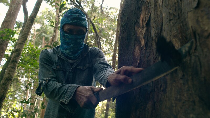 Illegal logger cuts bark from a tree. (Credit: National Geographic) – Bild: NGC Network US, LLC