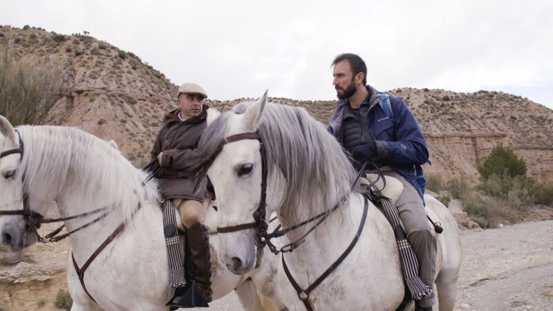 Bild: INSIGHT HD Bild: INSIGHT HD