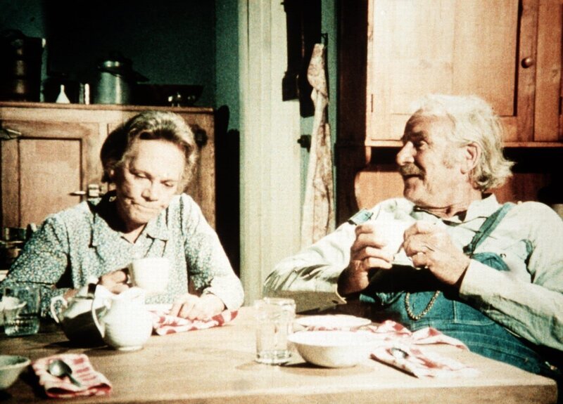 Die Großeltern Samuel (Will Geer, r.) und Ester Walton (Ellen Corby, l.) haben schon so manch harten Schicksalsschlag einstecken müssen … – Bild: Sat.1 Gold