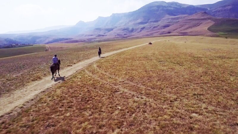 Bild: CuriosityStream Inc.