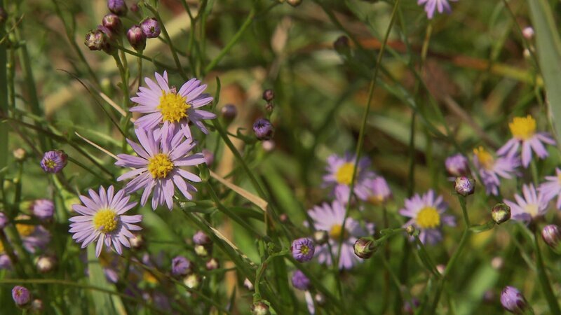 Bild: @Red Bull Media House/​ServusTV