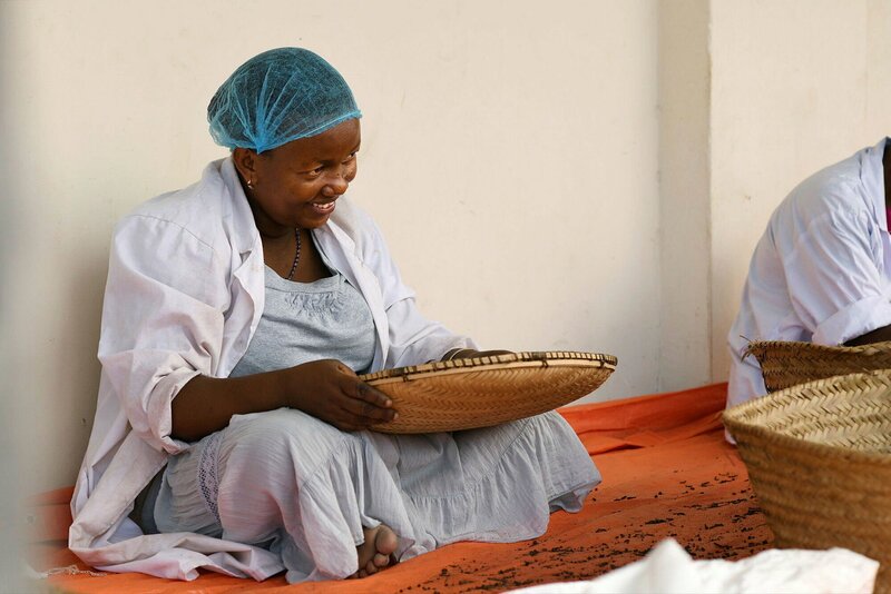 Pfeffer wird gesiebt. – Bild: ZDF und SRF