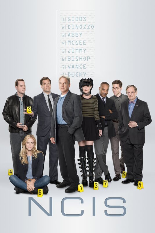 (13. Staffel) – Poster Untersuchen Verbrechen, die auf irgendeine Weise mit der US-Navy oder dem Marine Korps zu tun haben. Abby Sciuto (Pauley Perrette, 4.v.r.), Dr. Donald „Ducky“ Mallard (David McCallum, r.), Leroy Jethro Gibbs (Mark Harmon, 4.v.l.), Leon Vance (Rocky Carroll, 3.v.r.), Anthony DiNozzo (Michael Weatherly, 3.v.l.), Timothy McGee (Sean Murray, l.), Jimmy Palmer (Brian Dietzen, 2.v.r.) und Ellie Bishop (Emily Wickersham, 2.v.l.) … – Bild: CH Media