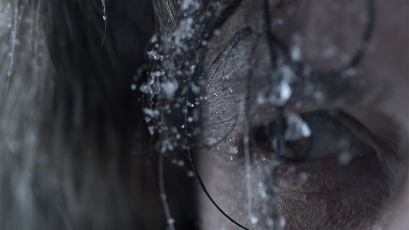 Vor 2,6 Millionen Jahren beginnt die Eiszeit. Eine Eisschicht bedeck Europa und Gletscher breiten sich vom Norden Skandinaviens aus. – Bild: ZDF und Martin Christ