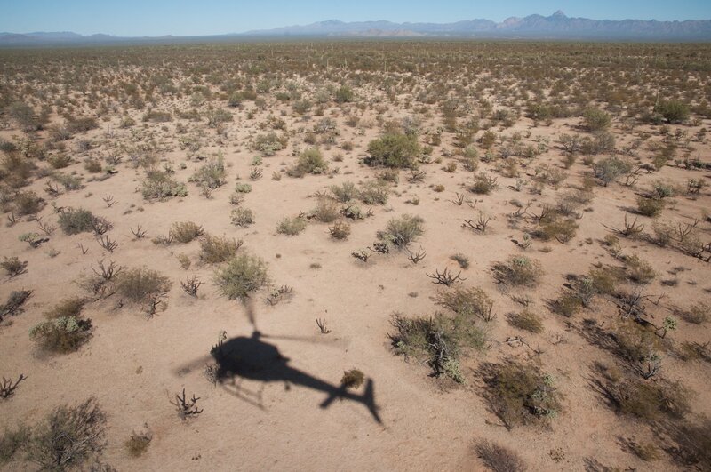 Nogales, AZ: Shadow of a flying helicopter in the desert. Helicopters have been a great aid to Customs and Border Protection agents searching for smugglers and illegal immigrants. – Bild: Kevin Cunningham
