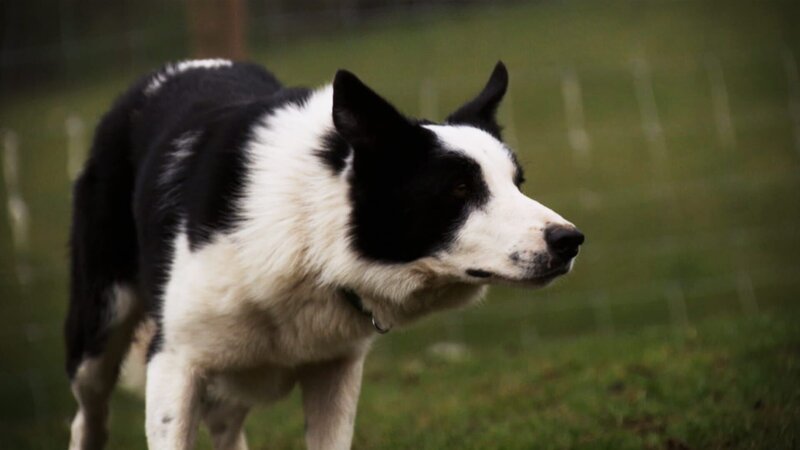 . – Bild: Warner Bros. Discovery