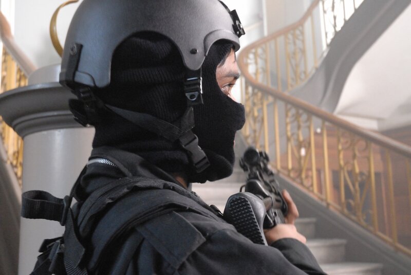 Bild: PLURIMEDIA (Darlow Smithson Productions Ltd)