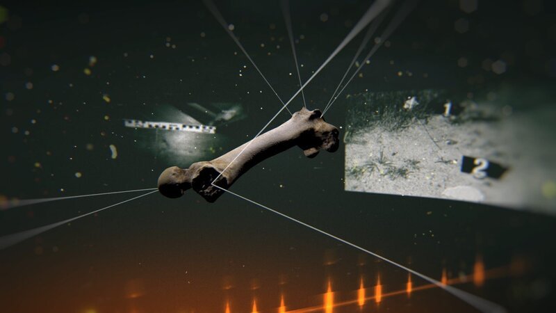 Knochenfund aus der Forensik. – Bild: ZDF und Nicolas Arnold